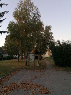 Foto von Dragoljub Ilic entlang der Tour