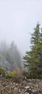 Photo de Markus le long du parcours