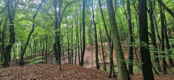 Fotó a Thomas Zeintl honlapról a túra során