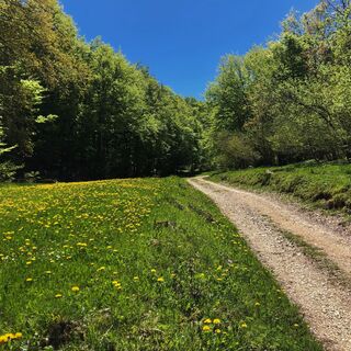 Weg, der zur Côtière führt