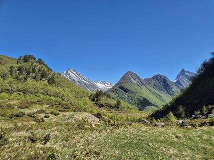 Zdjęcie z nancy k wzdłuż trasy
