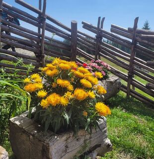 Reinischkogel Kapelle Blumen