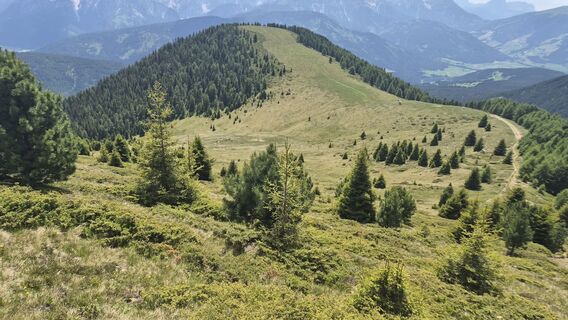 Photo de Uwe Schumann 2 le long du parcours