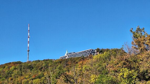 Foto da Regina Fleischmann lungo il tour