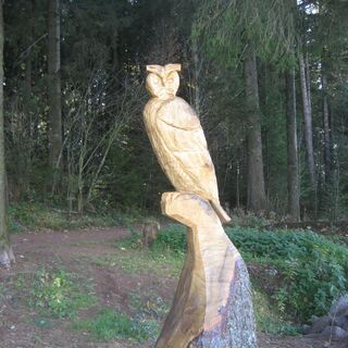 Die Holzfigur Eule