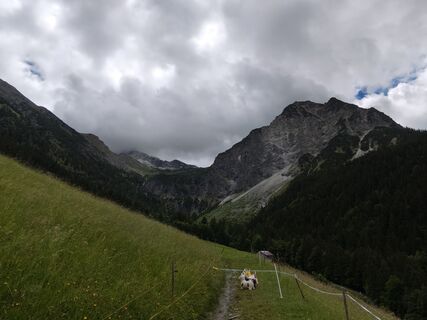 Photo de Roger Stahl le long du parcours