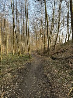 Foto von Martin Foidl entlang der Tour