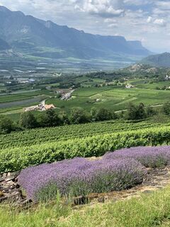 Foto von Tizz Canins entlang der Tour