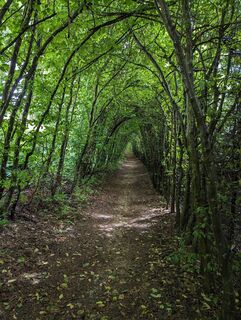 Foto de Ziegler Em1304 a lo largo del recorrido