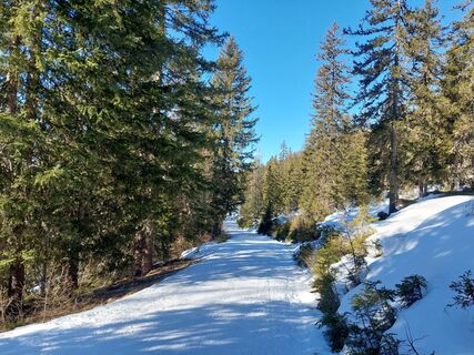 Foto von Alaunga entlang der Tour