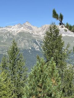 Foto fra Ralf Holighaus undervejs på turen