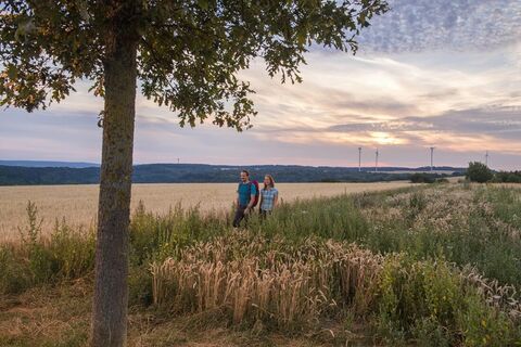 Wandern auf der Traumschleife Der Bietzerberger
