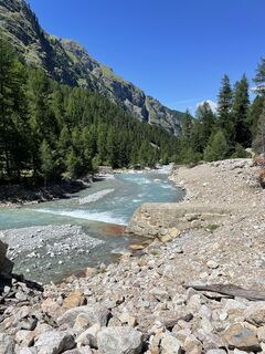 Fotografija s spletne strani Christiane Papp na poti