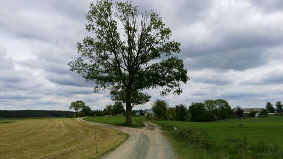 Von Willersdorf ins Quellgebiet der Wisenta