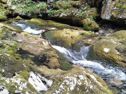 Photo de Poschacher le long du parcours