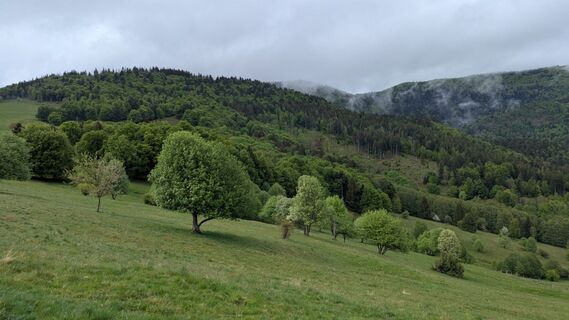 Foto de Richard Schwald a lo largo del recorrido