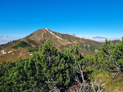 Foto von Tamara Schwarz 2 entlang der Tour