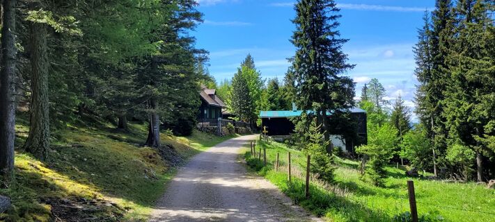 Foto von Nicky entlang der Tour