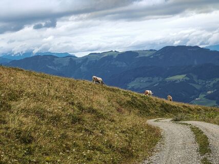 Fotó a Lena Eder honlapról a túra során