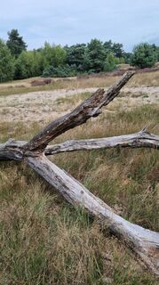 Foto de Merseburg a lo largo del recorrido