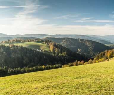 Aussicht in St. Märgen