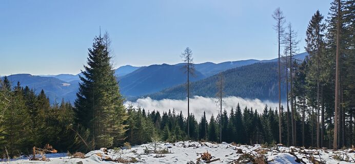 Foto von Gessi entlang der Tour