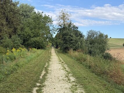 Fotografie z Schaali na trase