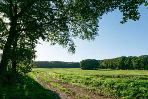 Aussicht genießen rund um den Melchenberg