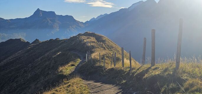 Foto von M@rk entlang der Tour