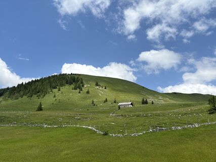 Fotografia z Heinz Sperl na trase