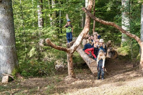 In der Eichhörnchen-Welt