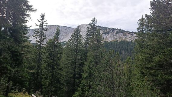 Fotografija s spletne strani Bergpirat na poti