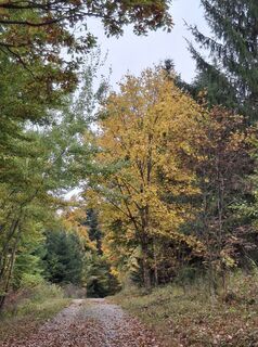 Photo de Christian Krebs le long du parcours