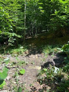 Pyhra Trail