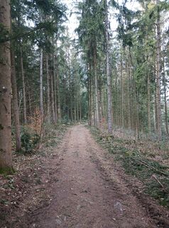 Kuva osoitteesta Burgim65 matkan varrella