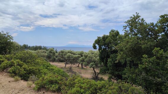 Foto de sybille.furch a lo largo del recorrido