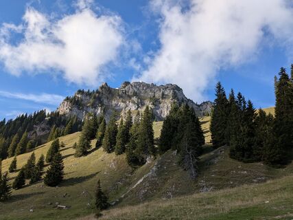 Foto von grassler entlang der Tour