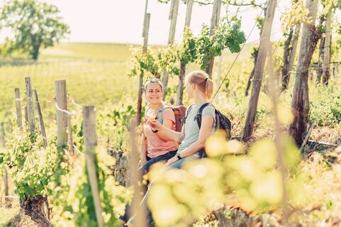 DSGVO NT Lauffen a N Katzenbei er Steillagen Wein WeinErlebnis 08