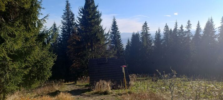 Fotografija s spletne strani Sylwiasuchy76 na poti