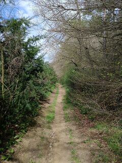 Zdjęcie z Marie Cartéron wzdłuż trasy