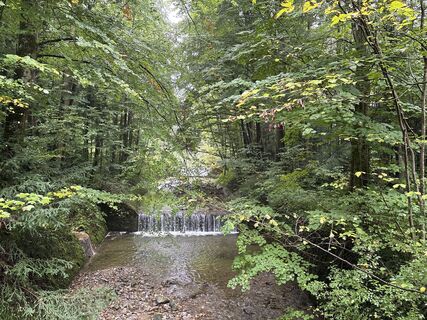 Fotografia z Heinz Sperl na trase