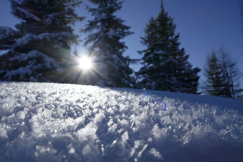 der Frost lässt die Schneekristalle im Sonnenlicht erstrahlen