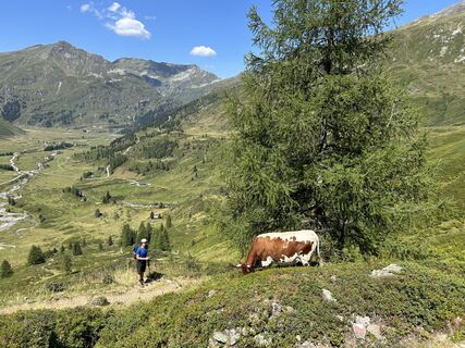 Foto von Elisabeth Stögmüller entlang der Tour