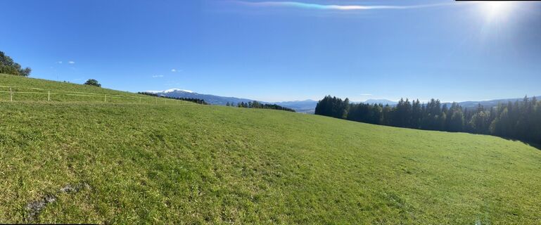 Fotografia z Klaus Breitenfellner na trase