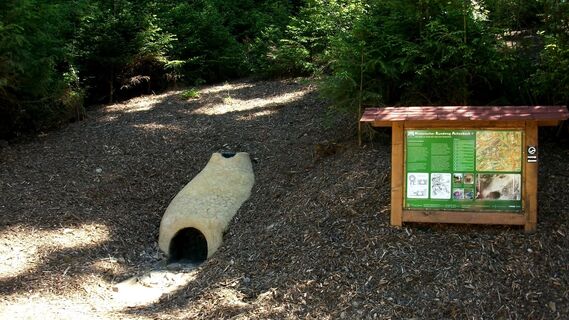 Siegen-Achenbach_Nachbau eines Rennofens mit Infotafel