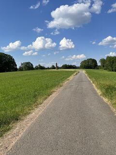 Photo de Guidog le long du parcours