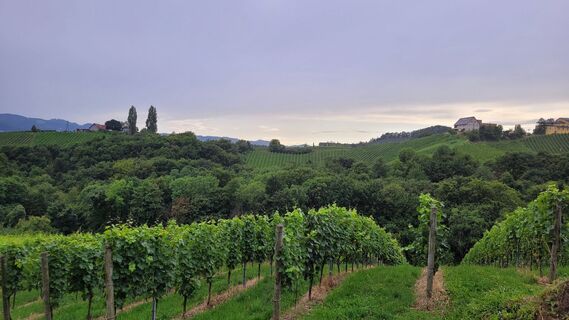 Foto von Juliane Jarke entlang der Tour