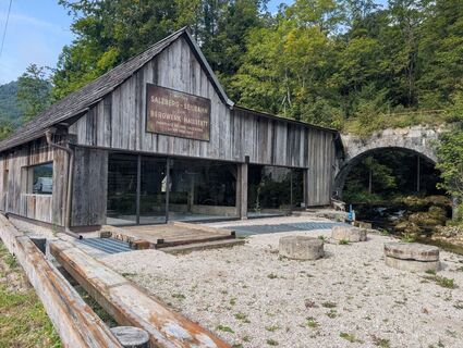 Foto von Marina Bayer entlang der Tour