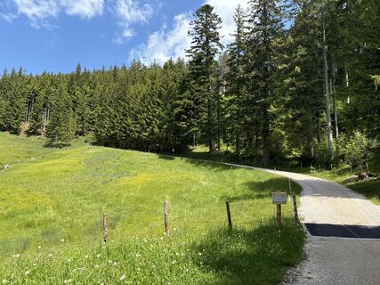 Anger_Stoisseralm