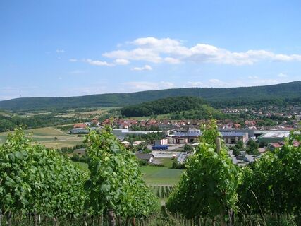 Blick auf des Gewerbegebiet in Zaberfeld mit Spitzenberg